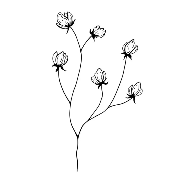 Doodle de flores. Ilustração vetorial desenhada à mão. Desenho de tinta monocromática a preto e branco. Arte de linha. Isolado em fundo branco. Desenho para colorir. — Vetor de Stock