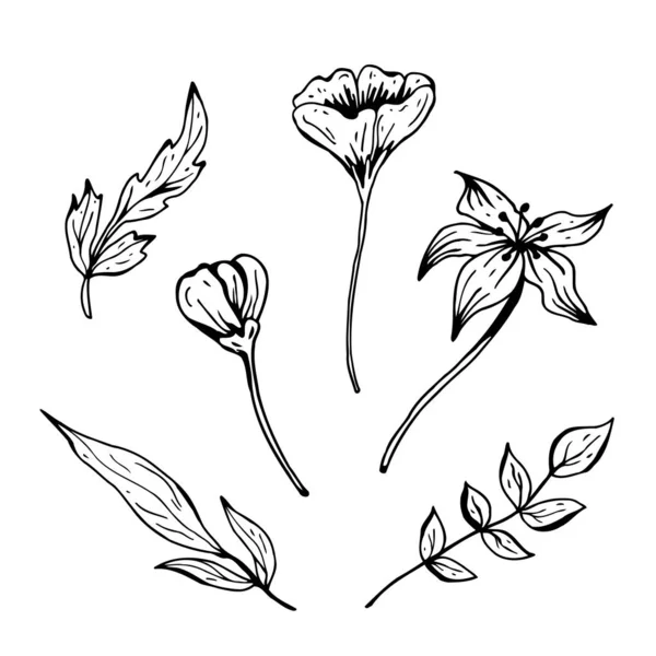 Blomklotter. Handritad vektor illustration. Enfärgad svartvit bläckskiss. Linjekonst. Isolerad på vit bakgrund. Färgläggning sida. — Stock vektor