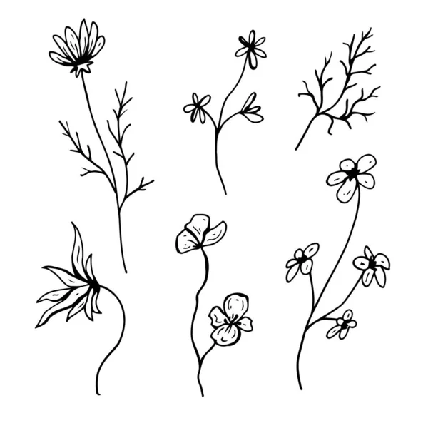 Bloemenkrabbel. Handgetekende vectorillustratie. Monochroom zwart-wit inkttekening. Lijnkunst. Geïsoleerd op witte achtergrond. Kleurplaten. — Stockvector