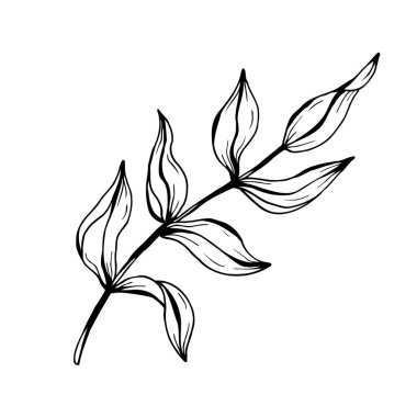 Yapraklı dal. El çizimi vektör çizimi. Tek renkli siyah beyaz mürekkep çizimi. Çizgi çalışması. Beyaz arka planda izole edilmiş. Renk sayfası.