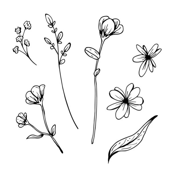 Blumen-Doodle. Handgezeichnete Vektorillustration. Einfarbige Schwarz-Weiß-Tuschskizze. Linienkunst. Vereinzelt auf weißem Hintergrund. Malvorlage. — Stockvektor