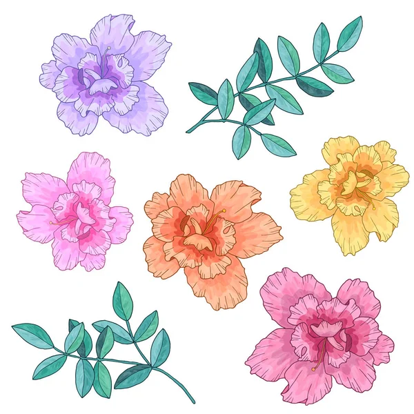 Flores abstratas de cores diferentes e ramos verdes com folhas. Ilustração vetorial desenhada à mão. Isolado sobre fundo branco . — Vetor de Stock