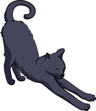 Kedi hayvan kaslarını esnetiyor yoga pozisyonu