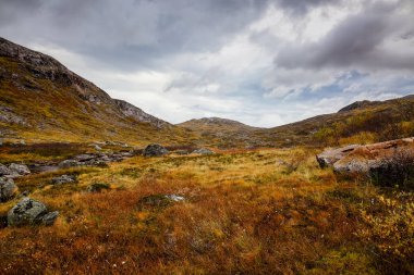 Norveç, Senja Adası doğada