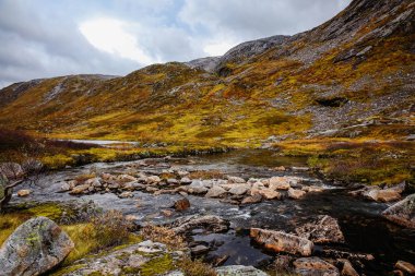 Norveç, Senja Adası doğada