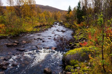 Nehir Senja, Norveç