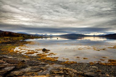 Norveç, Senja Adası doğada