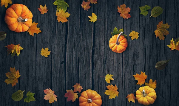 Kürbisse Und Herbstblätter Von Oben — Stockfoto