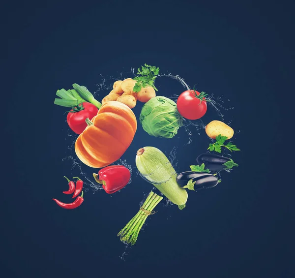 Flying organic food with water splash. Food illustration different vegetables and water splash on isolated black background