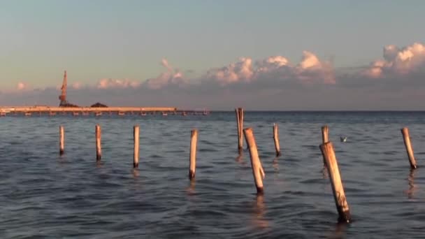Seascape. A light evening breeze. Late afternoon rest. — Stock Video