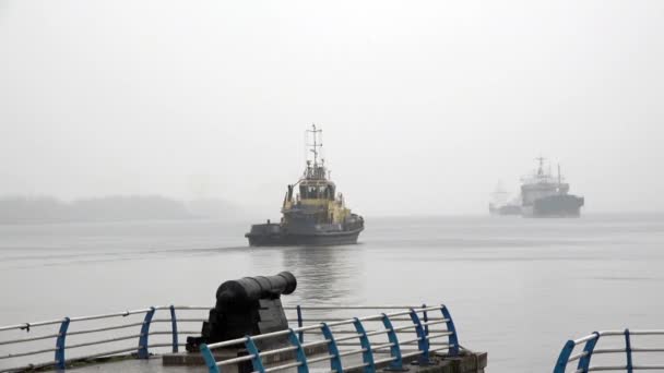 Traffico intenso sul fiume. Tugs in the work . — Video Stock