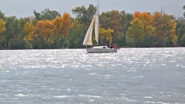 Segeljacht in Bewegung. — Stockvideo