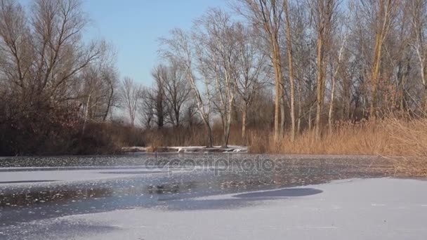 Paseo de invierno por los lagos. Día de congelación . — Vídeo de stock