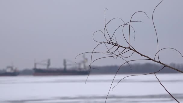 Ice conditions in the port town. Raid parking river fleet. — Stock Video