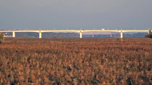 Gleichzeitig gibt es zwei Brücken am Horizont. Schöne Aussicht bei Sonnenuntergang. — Stockvideo