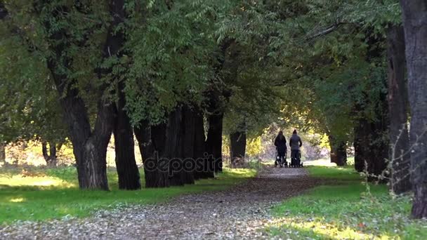 Dos chicas en el parque. — Vídeo de stock