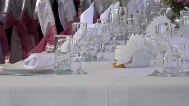 Muñeca Filas Sillas Una Ceremonia Boda Desde Aisle Pink Boda — Vídeo de stock