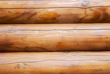 Kütüklerin dokusu birbirine yakın bir şekilde uzanıyor.