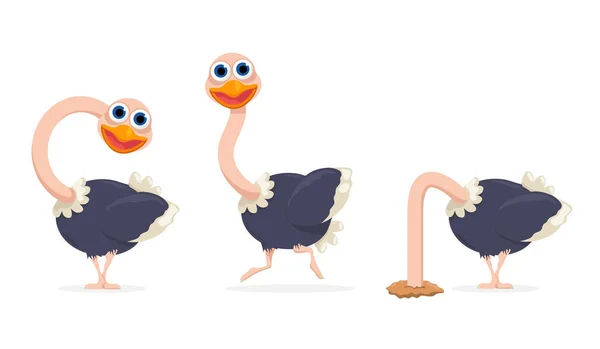 Vector Cartoon Ostrich Set Isolated White Background — Stock Vector
