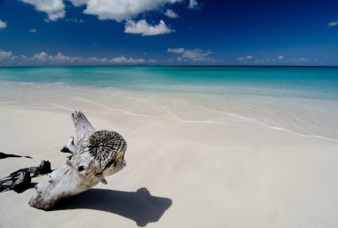 Ffryes Plajı'nda Drywood oluşumları