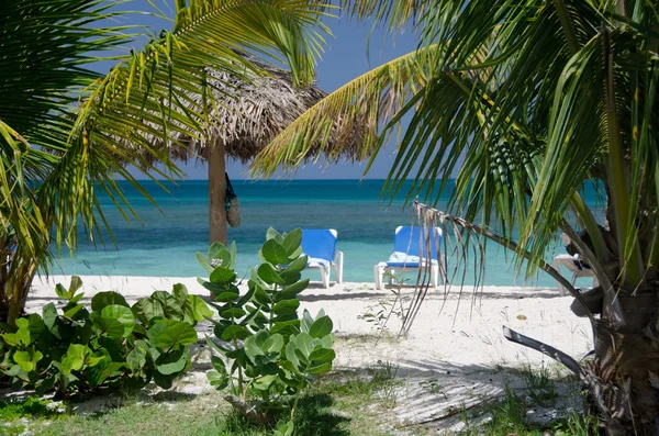 Palmas, cadeiras de praia e guarda-chuvas de folhas de palmeira na bela Cocobay — Fotografia de Stock