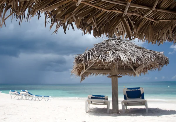 Pálmák, strand székek és Pálma levél napernyők a gyönyörű Cocobay — Stock Fotó