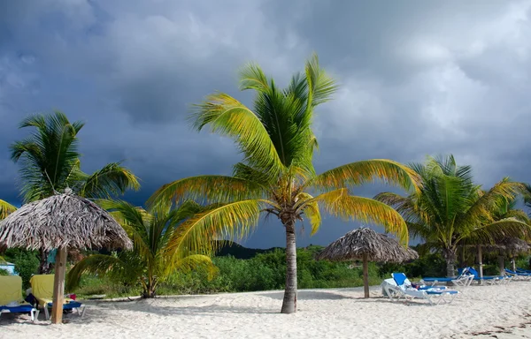 Palms, beach chairs and palm leaf umbrellas - 2 — Stock Photo, Image