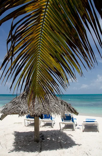 Ομπρέλες παλάμη πάνω από την πανέμορφη παραλία Cocobay — Φωτογραφία Αρχείου