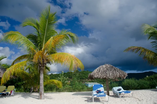 Palms, beach chairs and palm leaf umbrellas — Stock Photo, Image