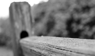 Sammamish patikadan ahşap çit yıpranmış