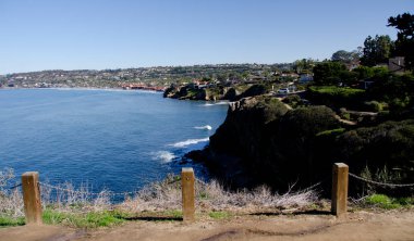 Bir iz Japon balığı nokta - 2 yakın yürüyüş