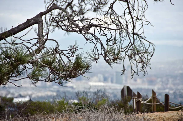 Blick auf san diego vom alten standpunkt loma leuchtturm — Stockfoto