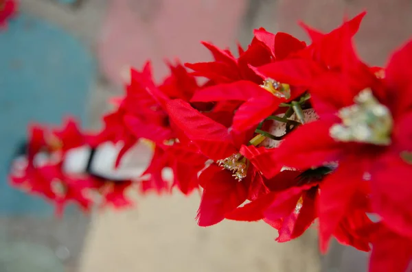 Decoração de Natal em um pólo na aldeia espanhola — Fotografia de Stock