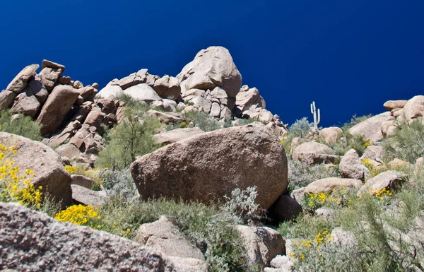 Granite rocks and brittlebush at Pinnacle Peak — Stock Photo, Image