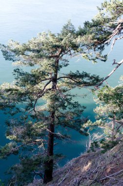 Yıpranmış Douglas, Aldatma Geçidi 'nin üstünde