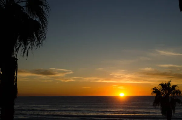 Sunset kiemeli pálmafák közelében Crystal Pier — Stock Fotó
