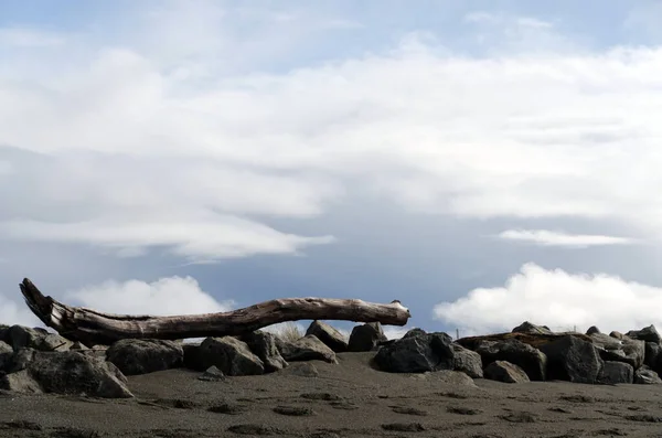 Velký Kus Naplaveného Dřeva Připomínající Tvar Vlny Poblíž Mola Westport — Stock fotografie