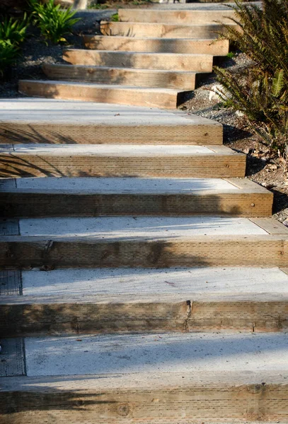 Lépcsők Páfrányok Között Sammamish Landingben Hosszú Árnyékokkal Naplemente Fényei Miatt — Stock Fotó