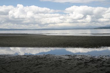 Kümülüs bulutları Richmond Sahili Tuzlu Su Parkı, Shoreline, Washington 'daki gelgit havuzlarına yansıyor.