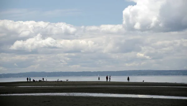 Beachgoers Dogs Richmond Beach Saltwater Park Seattle Washington — Foto Stock