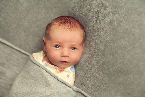 Pasgeboren baby ligt 9 dagen oud verpakt op een grijze achtergrond. — Stockfoto