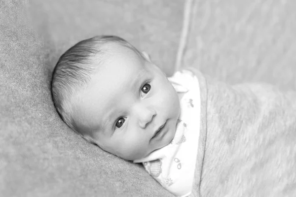 Pasgeboren baby ligt 9 dagen oud verpakt op een grijze achtergrond. — Stockfoto