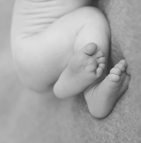 Маленькие белые ножки новорожденного ребенка — стоковое фото