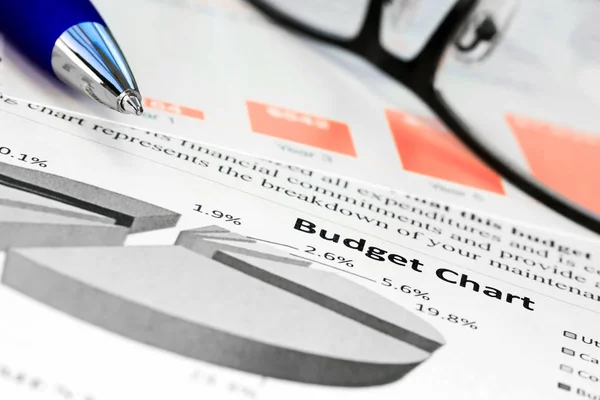 Budget Charts  with pen — Stock Photo, Image