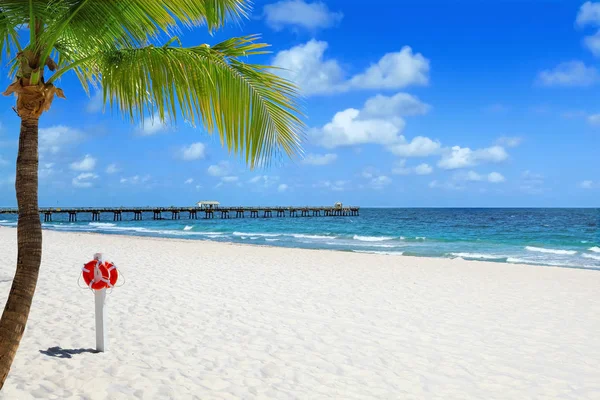 Stranden med palm tree — Stockfoto