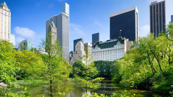 Midtown Manhattan Skyline Vom Central Park New York City — Stockfoto
