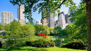 New York, Usa - 07 Mayıs 2019: Central Park, New York City 'den Manhattan şehir merkezi silueti