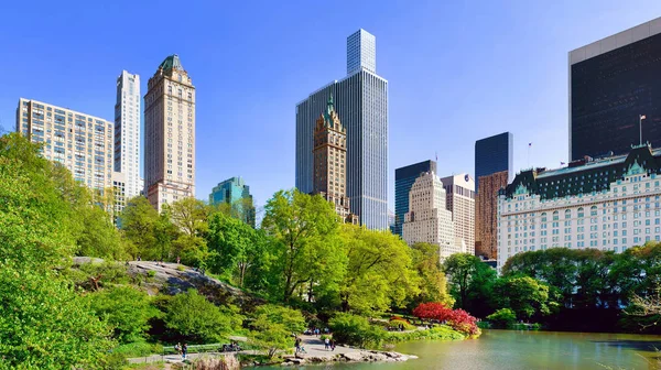 Nowy Jork Usa Maja 2019 Midtown Manhattan Skyline Central Park — Zdjęcie stockowe