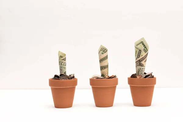 Cultivando el dinero — Foto de Stock