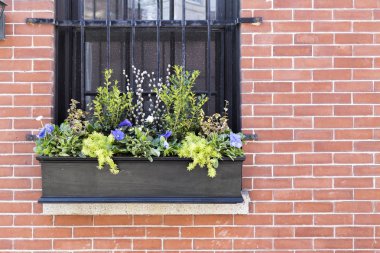 Windows bir Boston